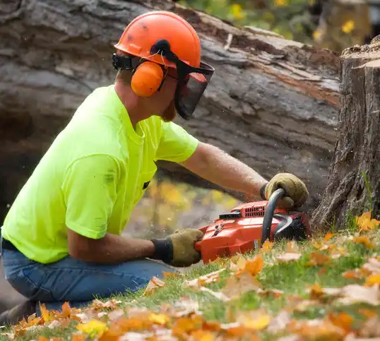 tree services Konterra